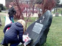 mms img-672504859 (4)